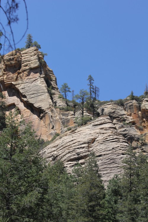 More Oak Creek Canyon